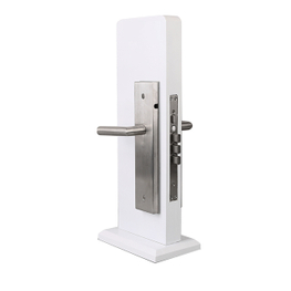 CRT-MSF100L Intelligent Anti-theft Door Lock
